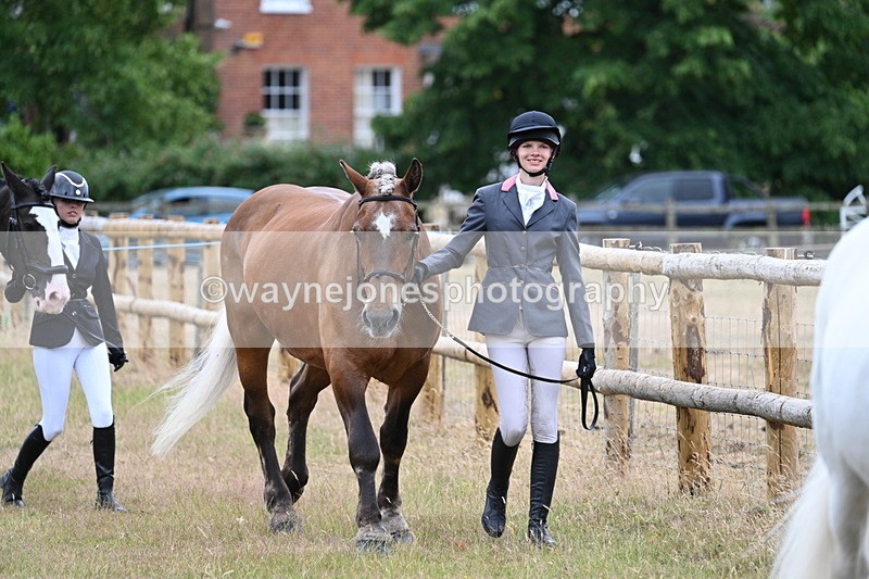 WJ7_9078 - Class 4a Prettiest Mare 14.2hh and over