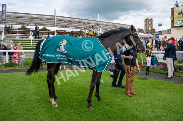 310525-Race 6-Dantes Lad-8009 - Race 6 4.25pm Royal Yorkshire Regiment Handicap