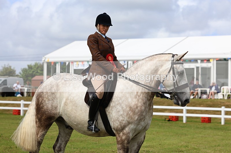 3E7A0422 - Class 6: Rising Star Maxi Cobs