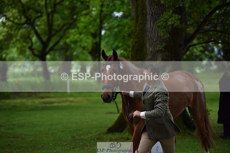 240522-152654-00347 - 356-CREEVAGHSTABLES_IFICUDIWUD-Tim_Cheffings