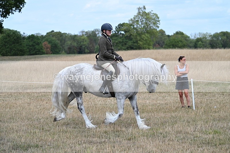 WJ7_4759 - Class 12 Ridden Cob