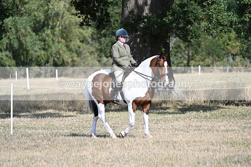 WJ7_2673 - Class 8 Ridden Tack & Turnout