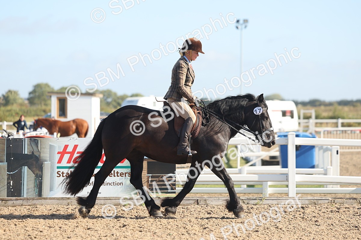 SBM_22285 - Class 803 - Ridden Combination 65+