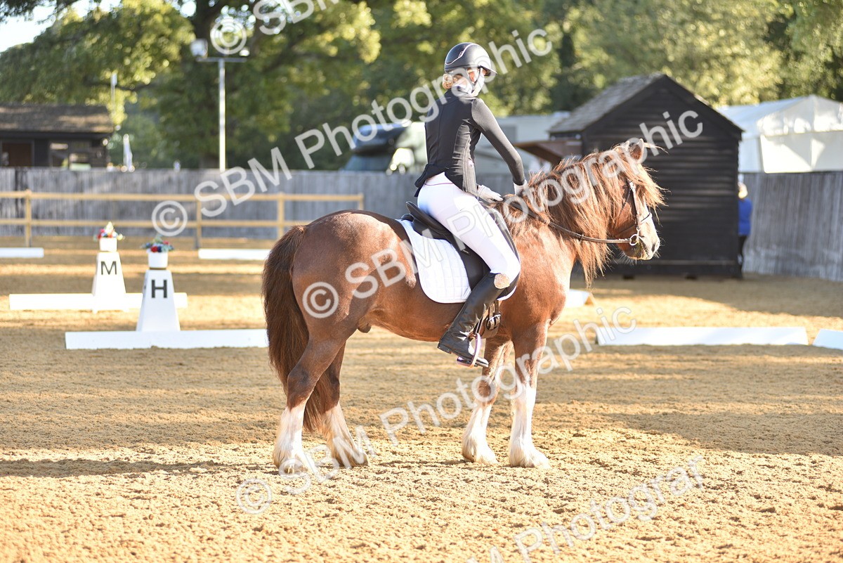 SBM_15705 - D4 - Small Tour Championship Intro 4