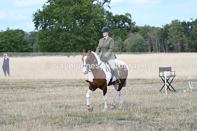 WJ7_7174 - Class 14 Ridden Coloured