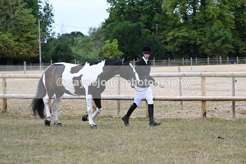 WJ7_8832 - Class 4a Prettiest Mare 14.2hh and over