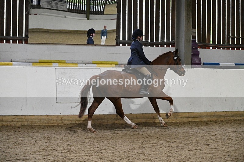 WJ7_3853 - Class 17 Ridden Cob