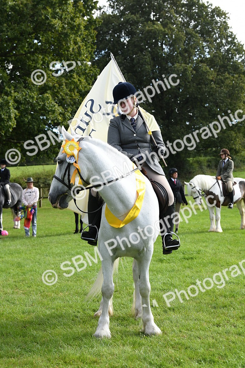 SBM_47240 - S12 - Family Horse & Pony