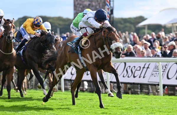 210825-208 Stellar Sunrise - Race 6 4.45pm Mews Hotel Ossett EBF Stallions Nursery Handicap
