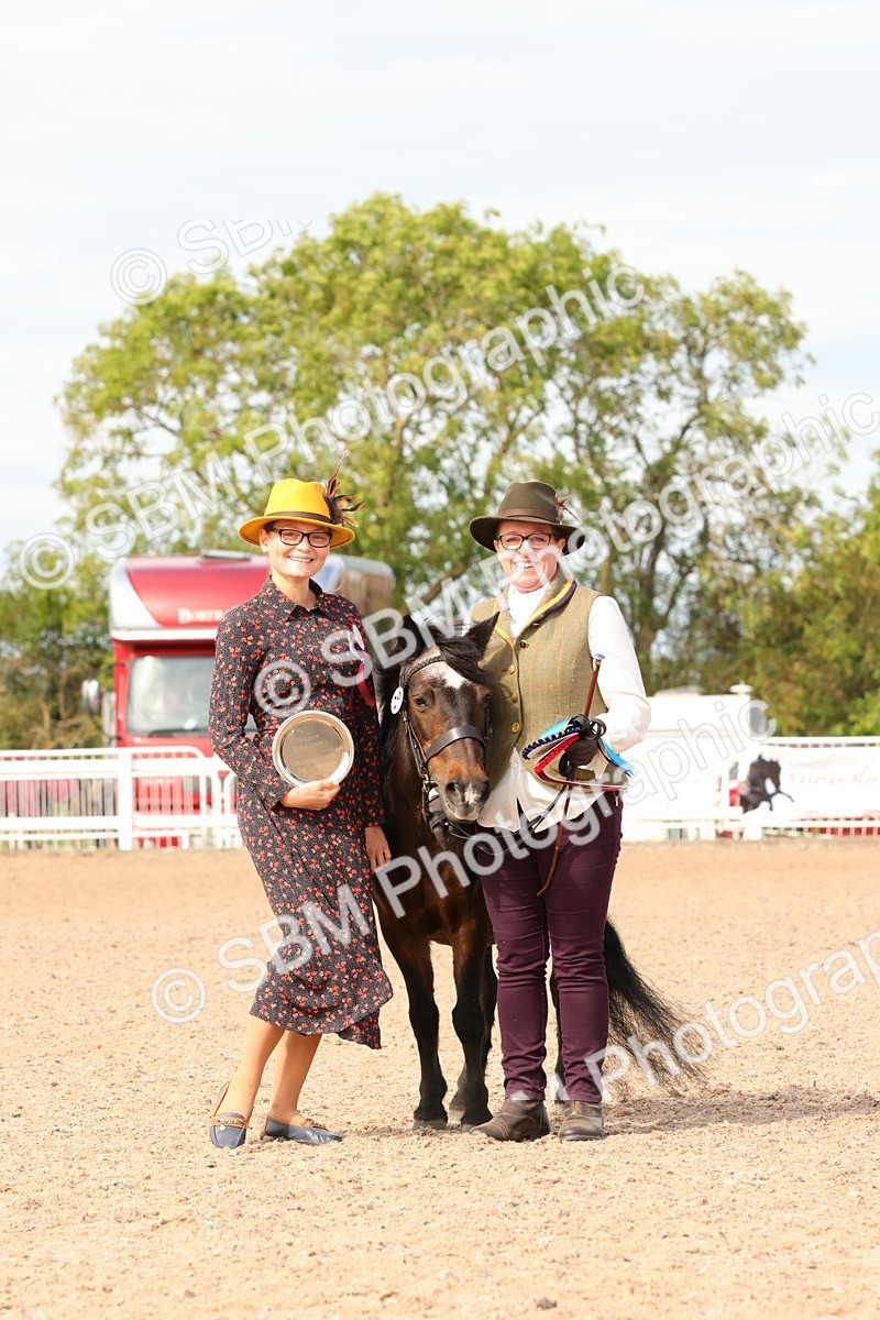 SBM_18049 - Class 707 - IH Groom - Helpers Glass