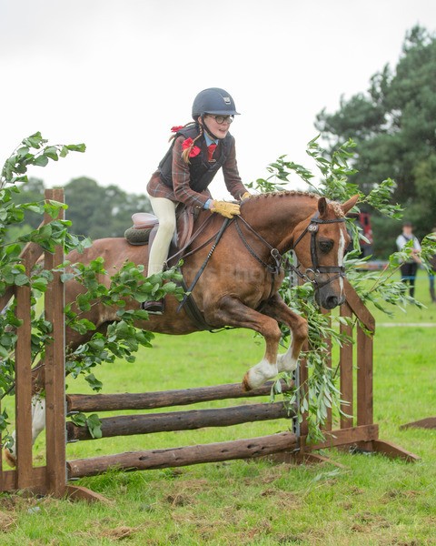 Dunblane show-265 - Dunblane and Doune Show Ring 1