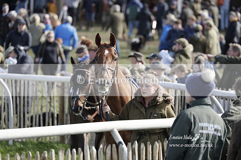 PtP 100423 823 - Old Berkshire Point-to-Point Lockinge 10/04/23