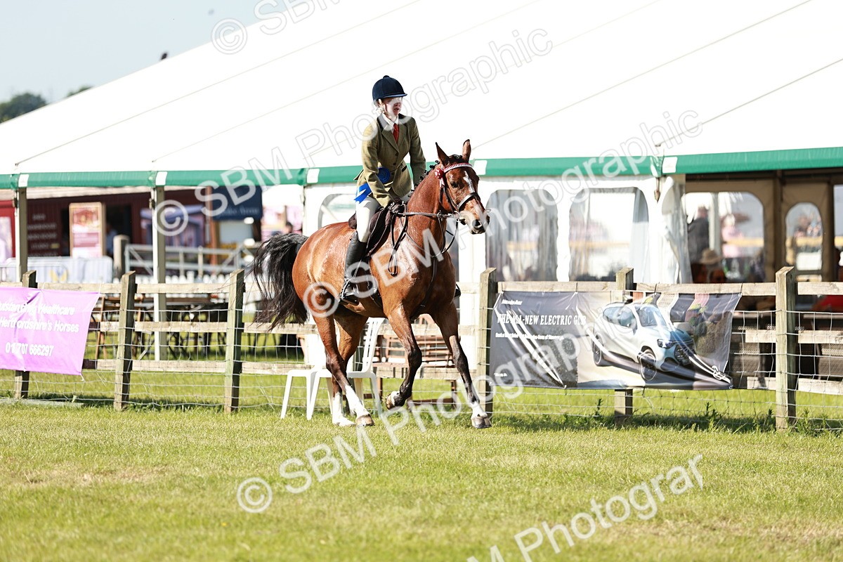 SBM_18956 - Class 114 - RIHS & SEIB Open Working Show Horse