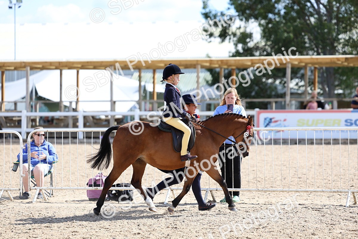 SBM_13034 - Class 309 - Lead Rein Pony