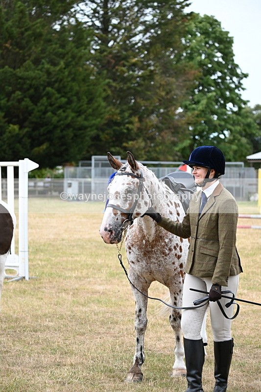 WJ6_3992 - Class 9 Tack & Turnout