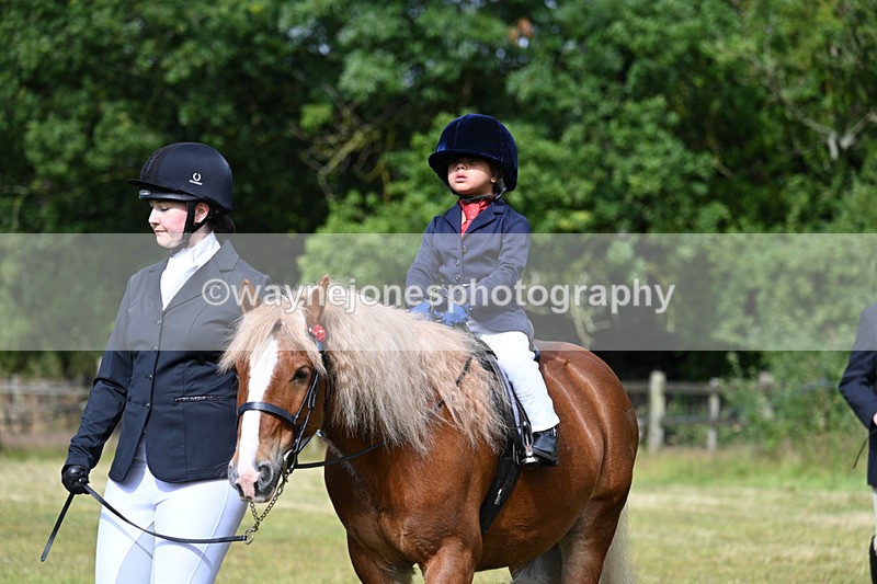 WJ7_4346 - Class 1 Lead Rein Pony
