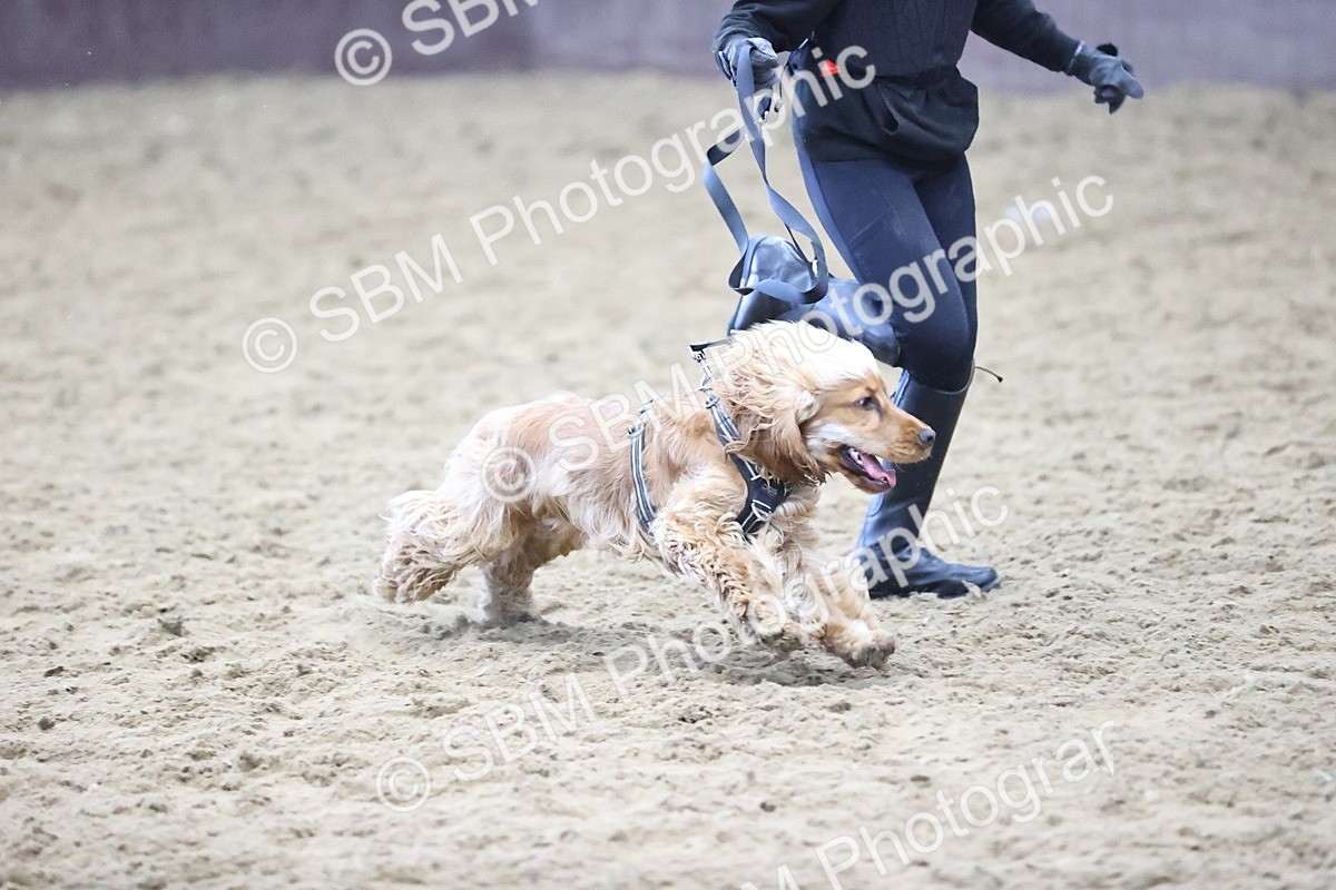 SBM_001419 - Class 3 - Horse & Hound 60cm