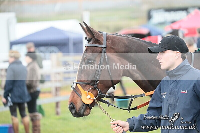 PtP 130425 342 - Edgecote Races 13/04/25