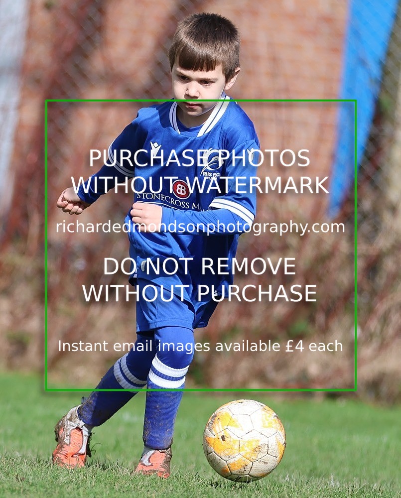 533A8199 - Ibis Under 8's (14/3/26)