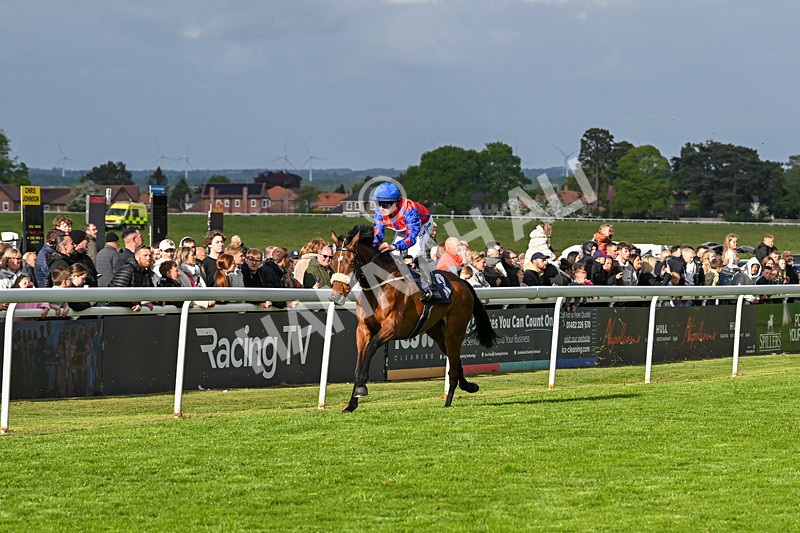 050525-Race 7-Spring Chorus-5566 - Race 7