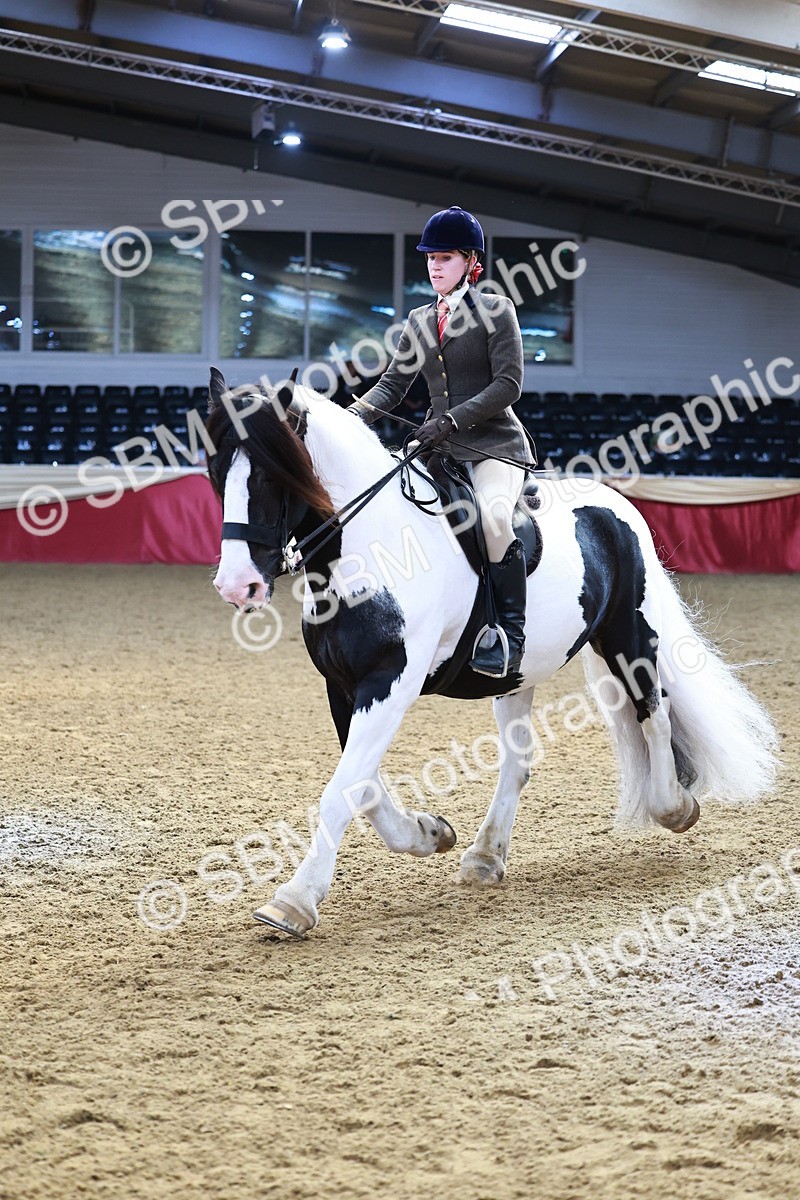 SBM_23482 - class 906 - Supreme Final - Ridden Pre Vet