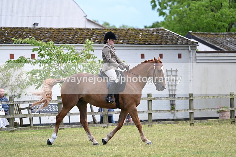 WJ7_9306 - Class 8 Ridden Veterans