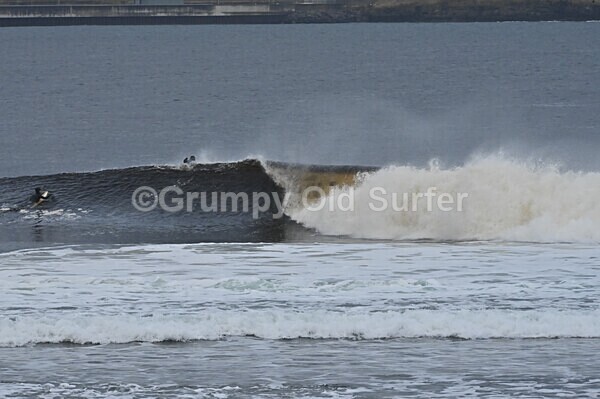 DSC_8797 - Thurso 6th November 2022
