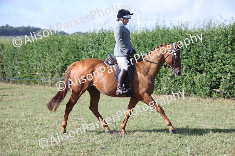 20250831-0905 - Class 14 - Ex Racehorse