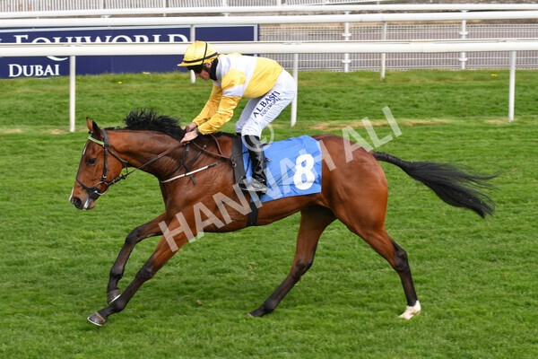 yr12052021r5-17 - Race 5 3.40pm Sky Bet Stakes