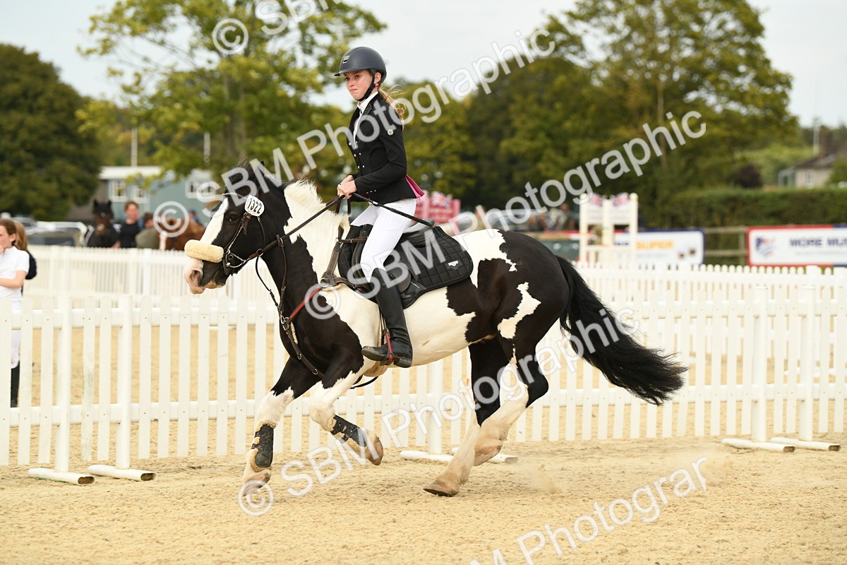 SBM_71206 - J15 - Junior Pony 70cm Championship