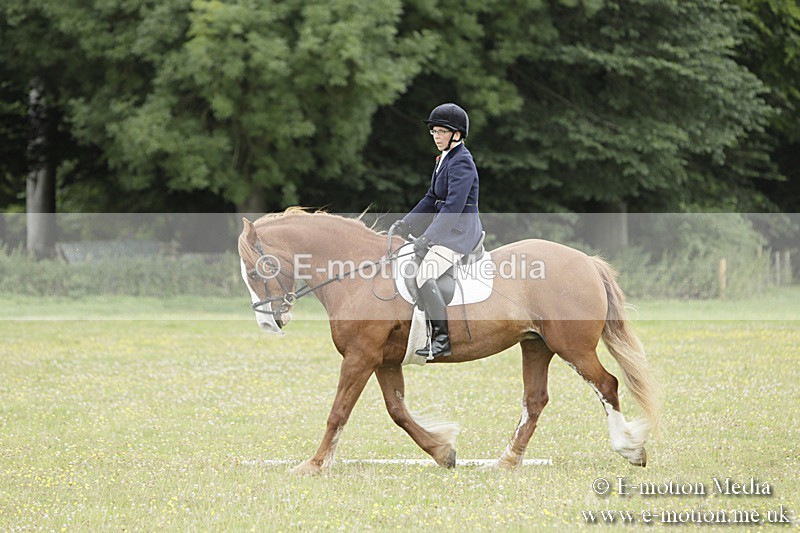 BVR160717-1226 - Class 2 Dressage 16/07/17