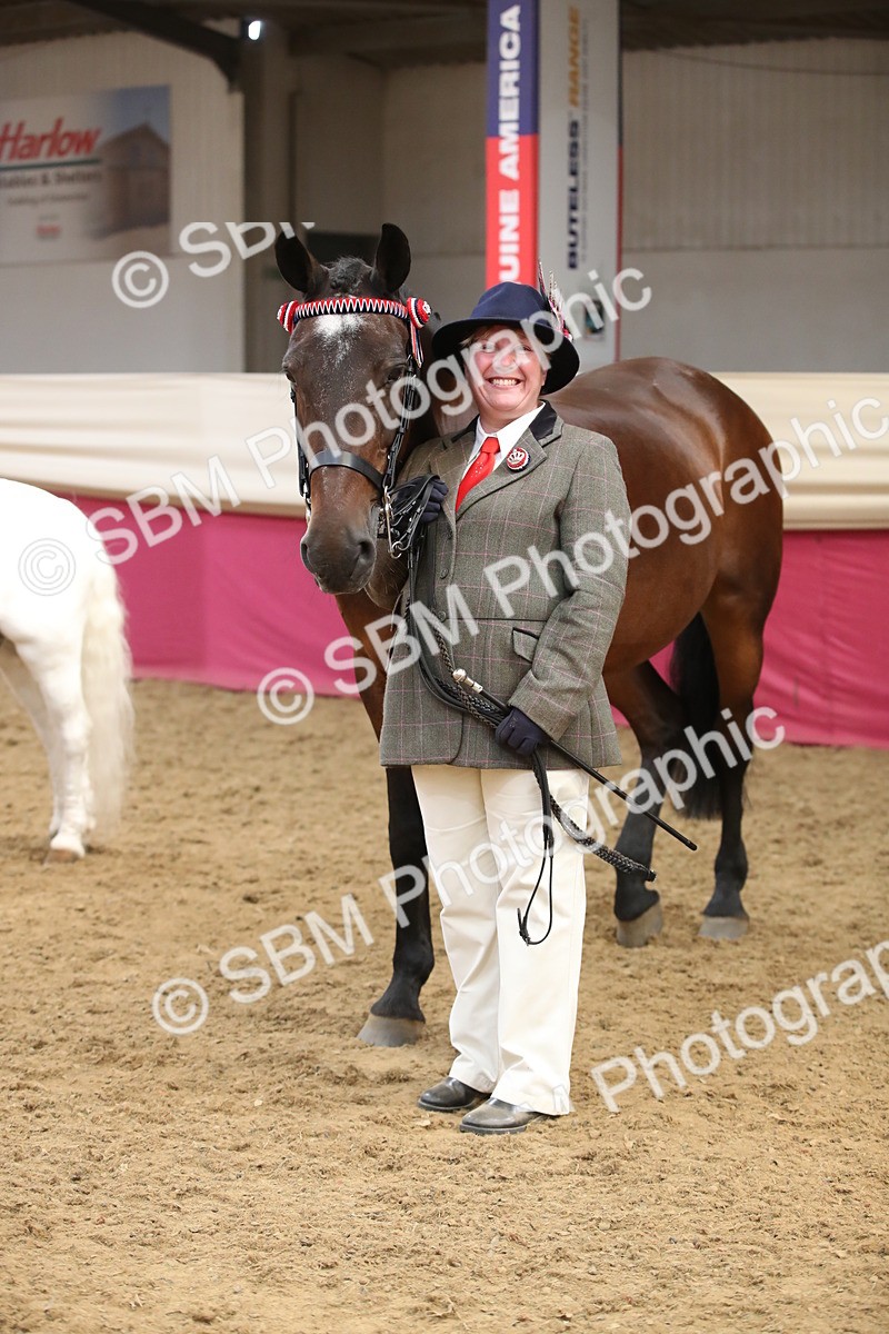 SBM_05408 - Class 8R - Regional IH Veteran