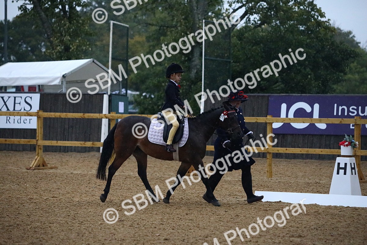 SBM_34699 - D26 - Starters Lead Rein