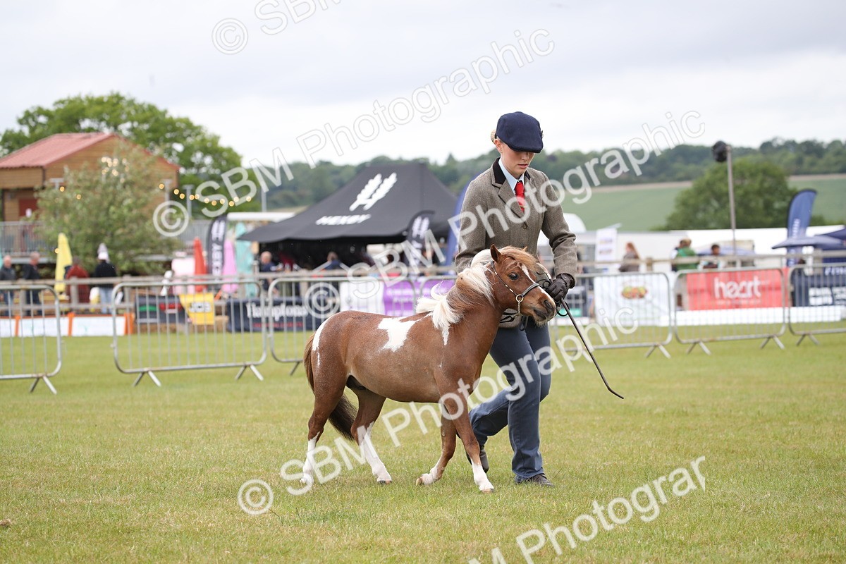 SBM_03526 - Class 23-25 - British Miniature Horse of the Year