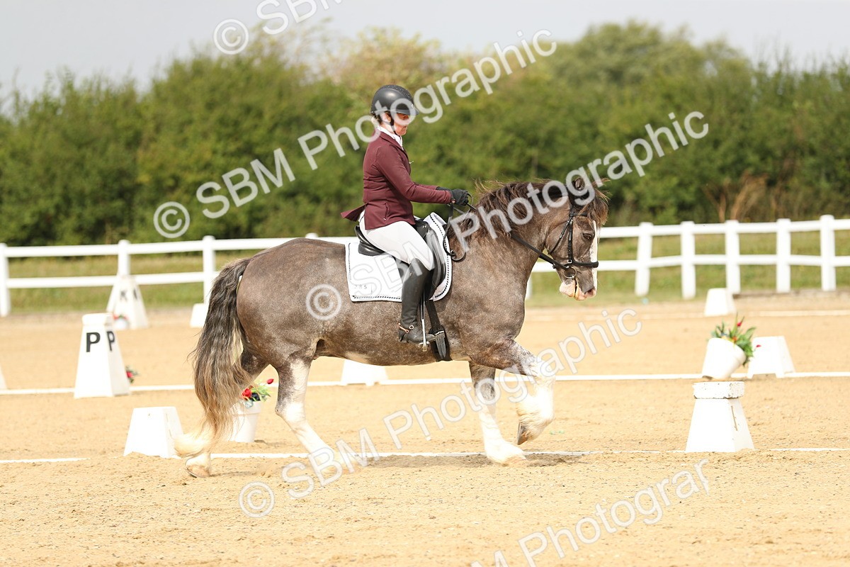 SBM_017316 - Class 13 - Novice 23 - 13.31-14.13