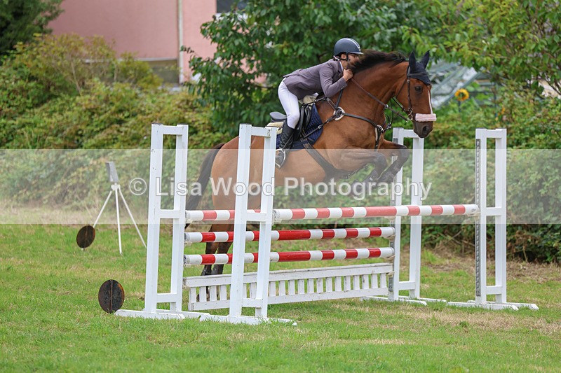 3E7A8179 - Class 7: Senior Newcomers/1.10m open