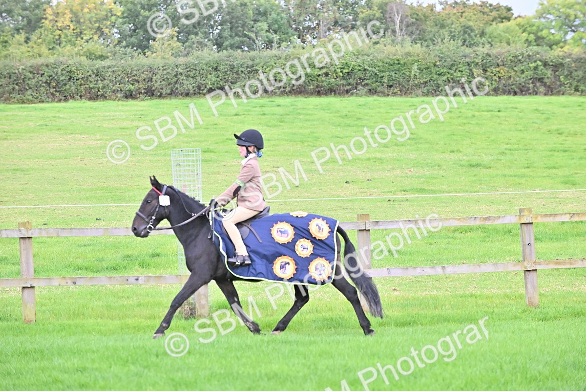 SBM_42888 - S12 - Family Horse & Pony