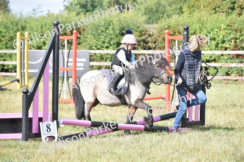 20250831-0373 - Class 6 - Minimus Jumping 30cm