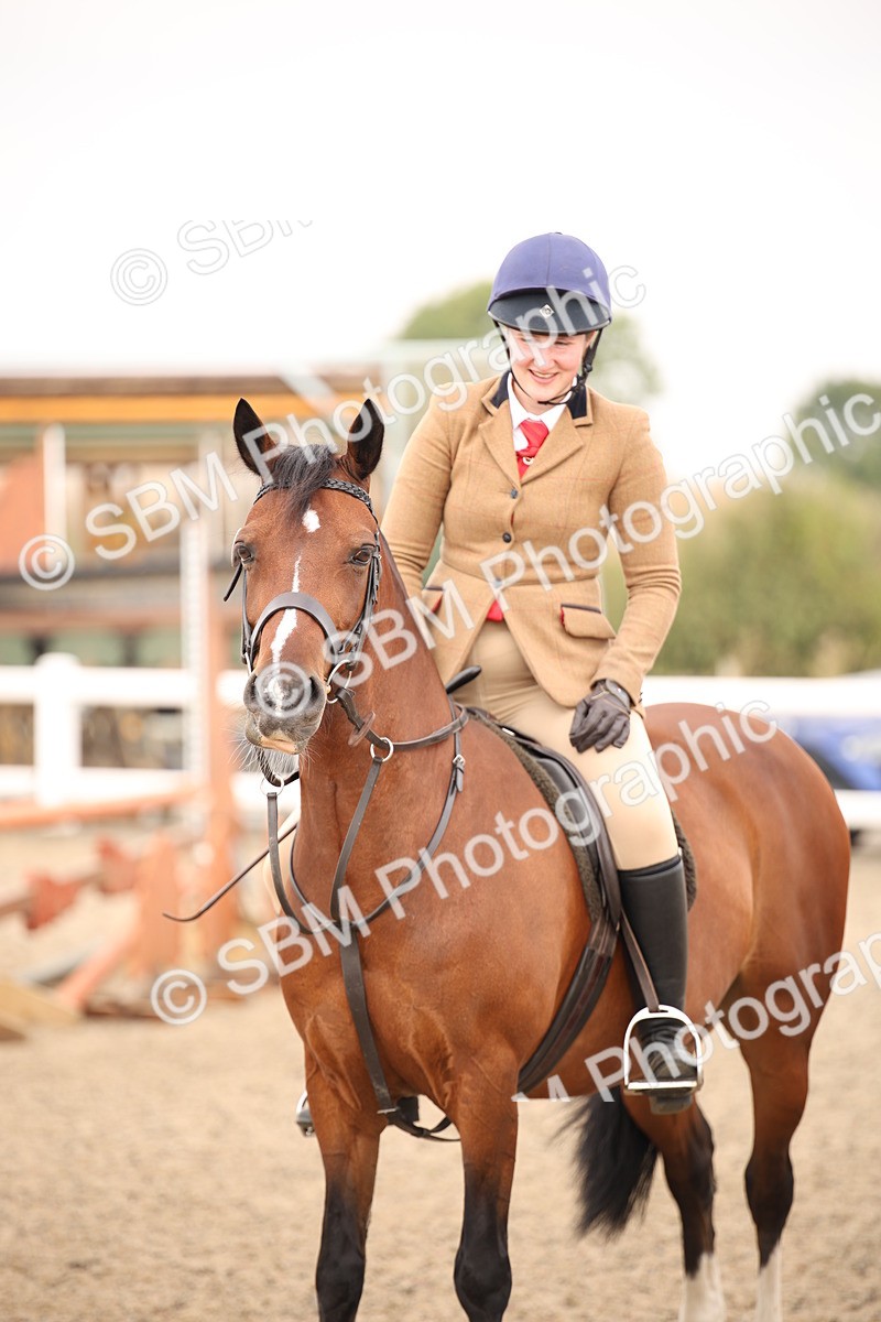 SBM_12279 - Class 405a - M&M Working Veteran 50cm (15-19)