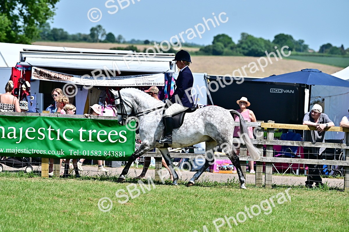 SBM_17432 - Class 95-97 - BSPS LHS Performance Ponies