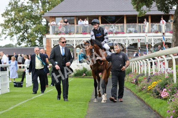 yr04092022r2-38 - Race 2 2.20pm John and Judith Marshall Memorial Stakes