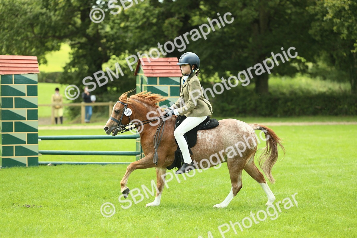 SBM_42741 - S30 - M&M Working hunter Pony