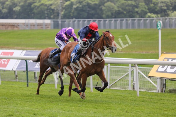 yr12062021r1-26 - Race 1 2.00pm Queen Mother's Cup