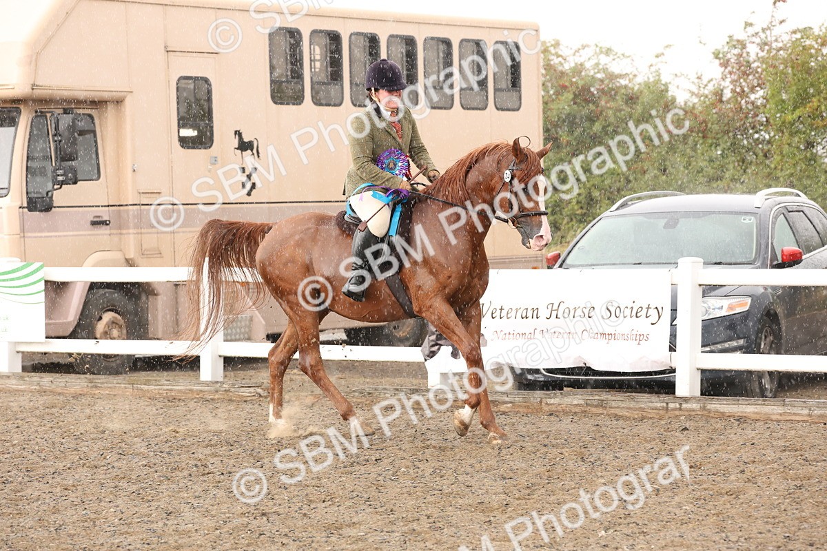 SBM_07603 - Class 59b -  Style & Performance - 80cm (20+)