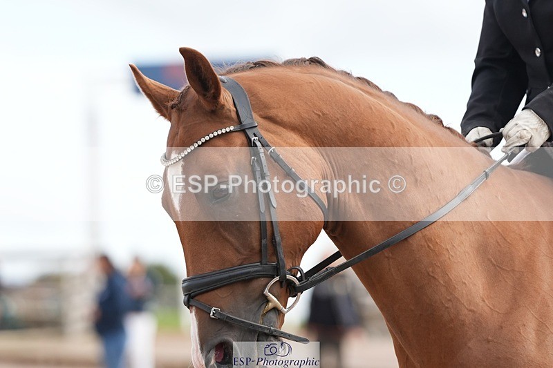 250906-112116-01601 - 007-Karen.DanceHevans.Sign.of.the.Times