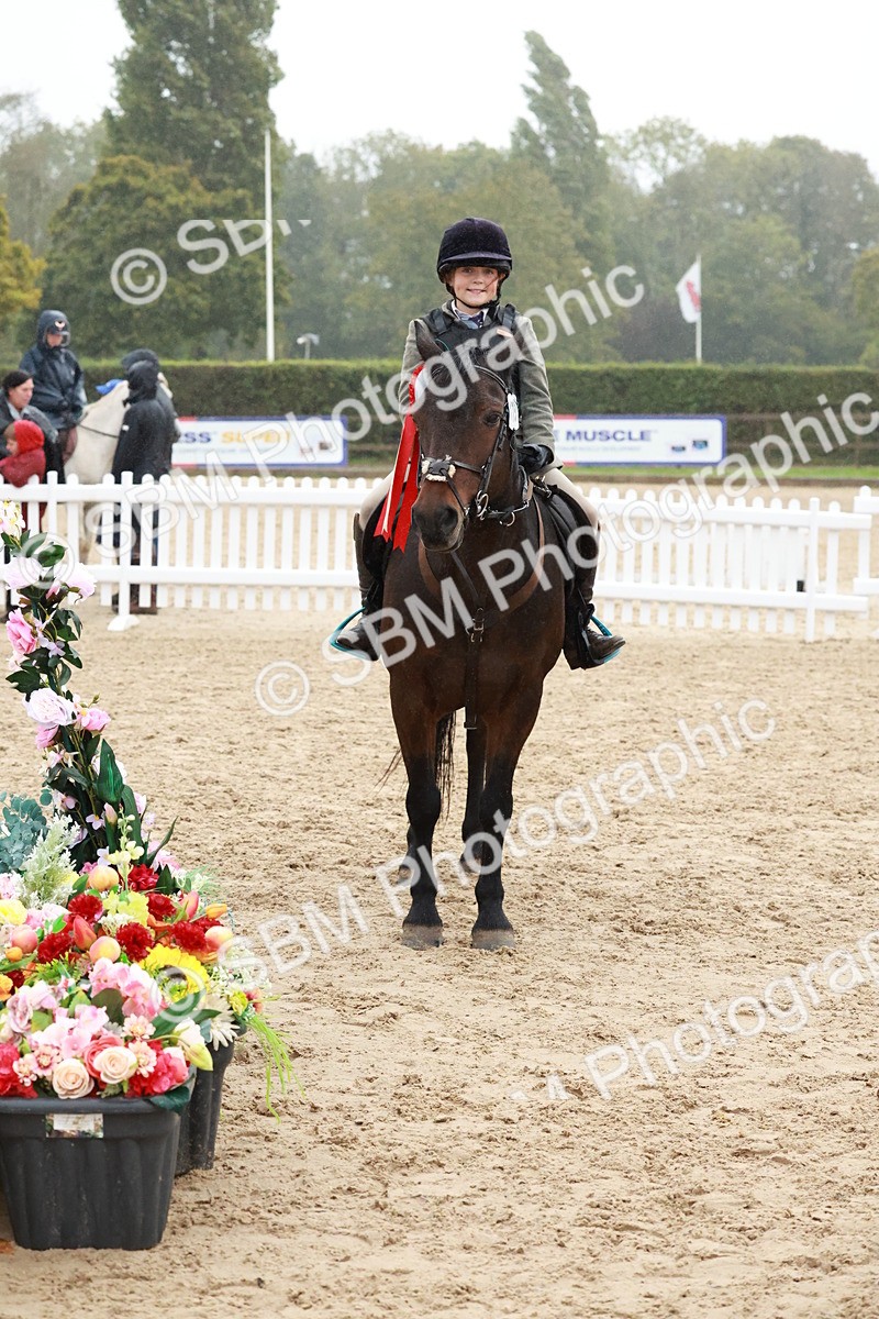 SBM_73625 - Supreme Championship Junior Pony 60cm & 65cm