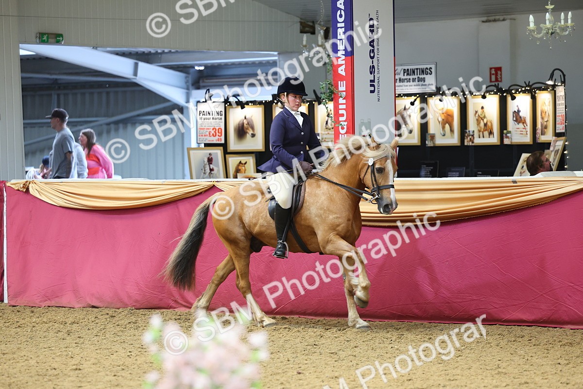 SBM_23508 - Class 904 - Supreme Final Ridden Diamond