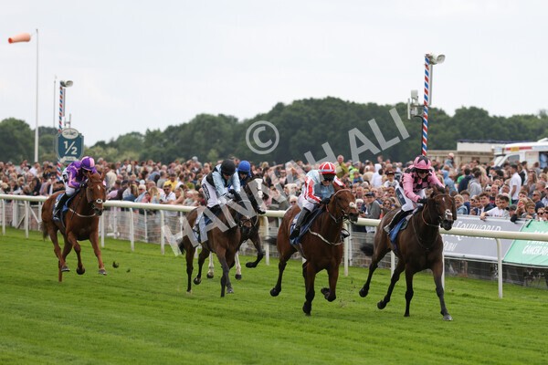 yr11062022r2-76 - Race 2 2.00pm Queen Mother's Cup