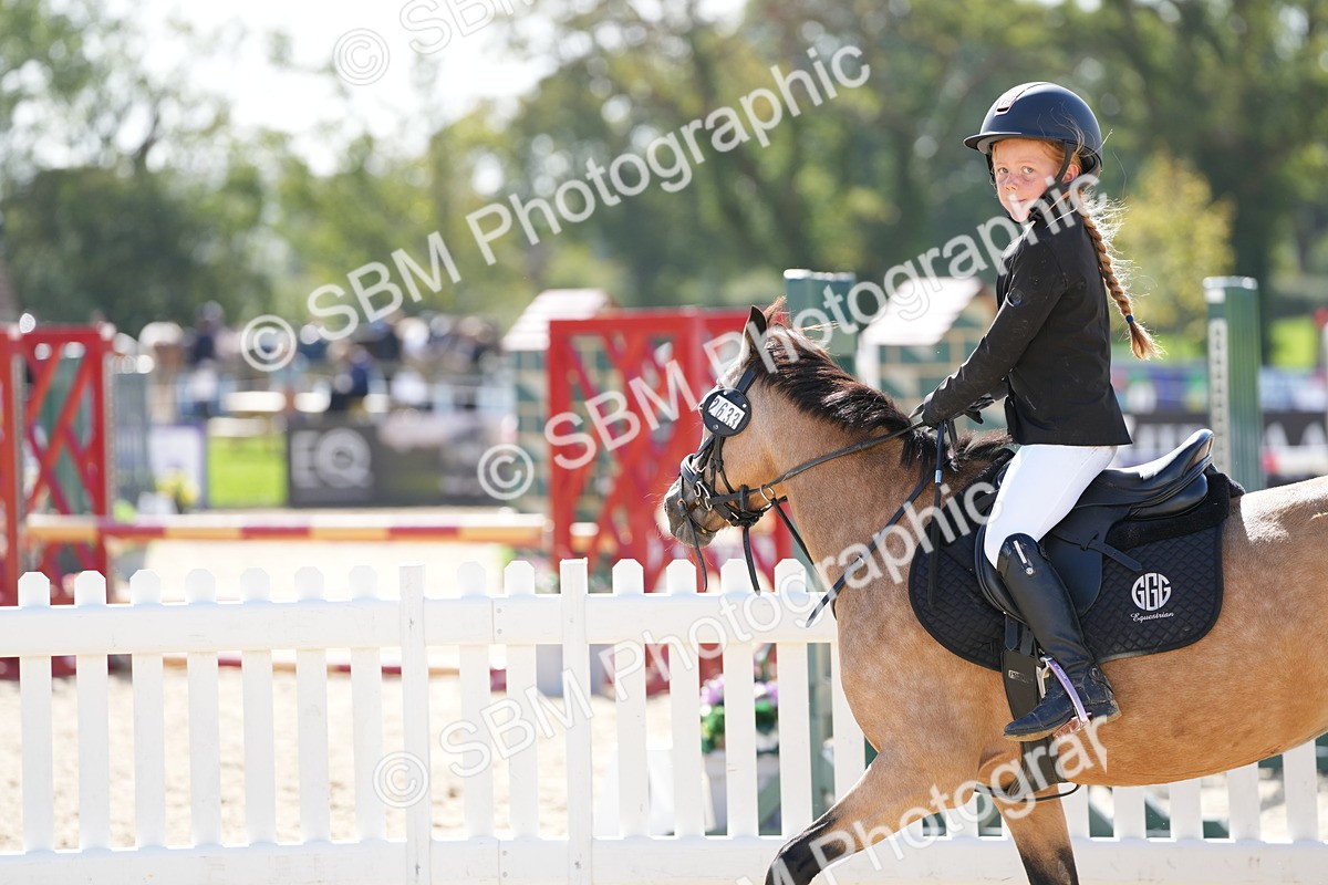 SBM_18219 - J58 - Clear Round 50cm