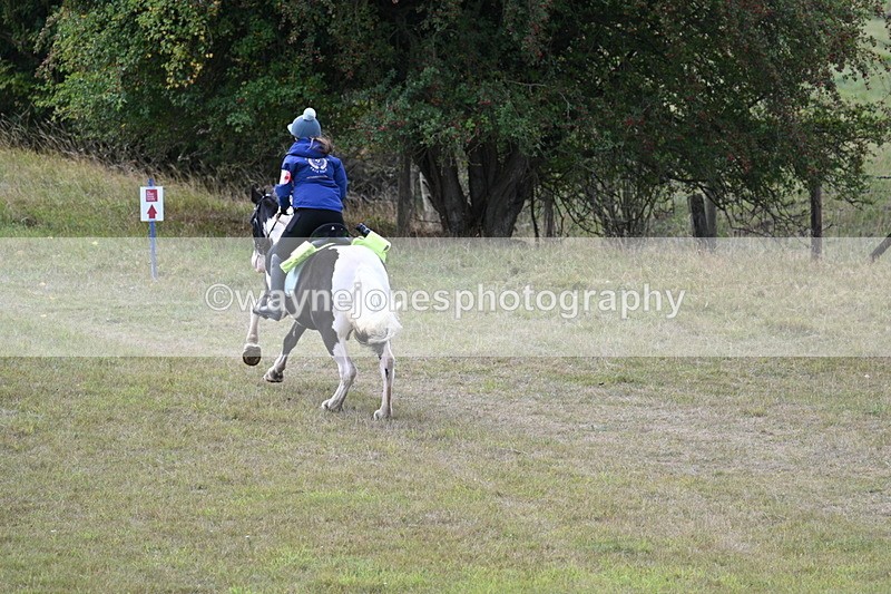 WJ7_5988 - Time 11:50 to 12:09